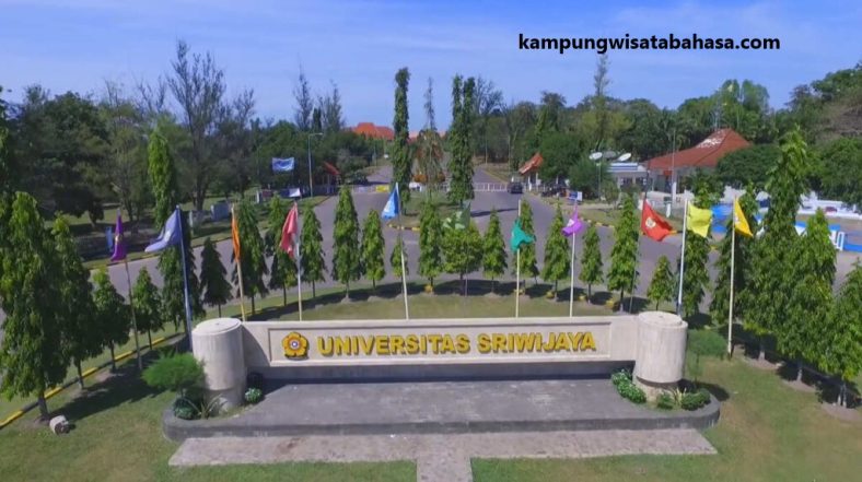 Daftar Universitas Terbesar di Indonesia, Adakah Kampusmu?